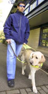 Guide Dogs for the Blind